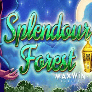 Splendour Forest